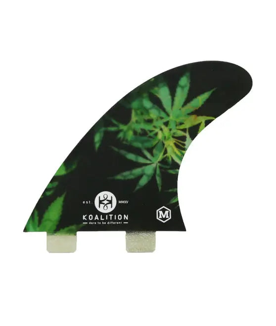 Koalition cbd M Koalition