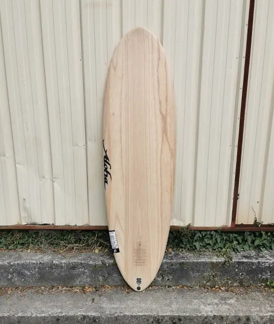 Amazon.co.jp: 2023 ALOHA FUN DIVISION SMALL ECO SKIN 6'4